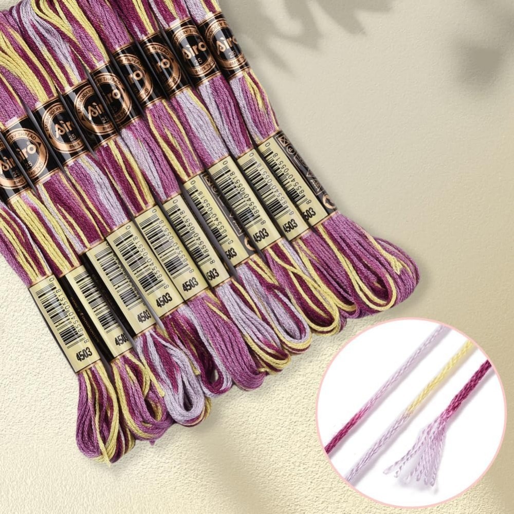 6 Strands Purple Variegated Em - đánh giá và giá Embroidery Floss Thread