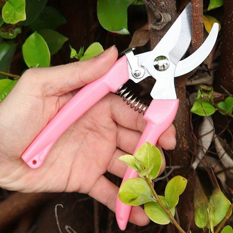 2 Pack Flower Scissors(Pink),  - đánh giá và giá Pinking Shear Blade